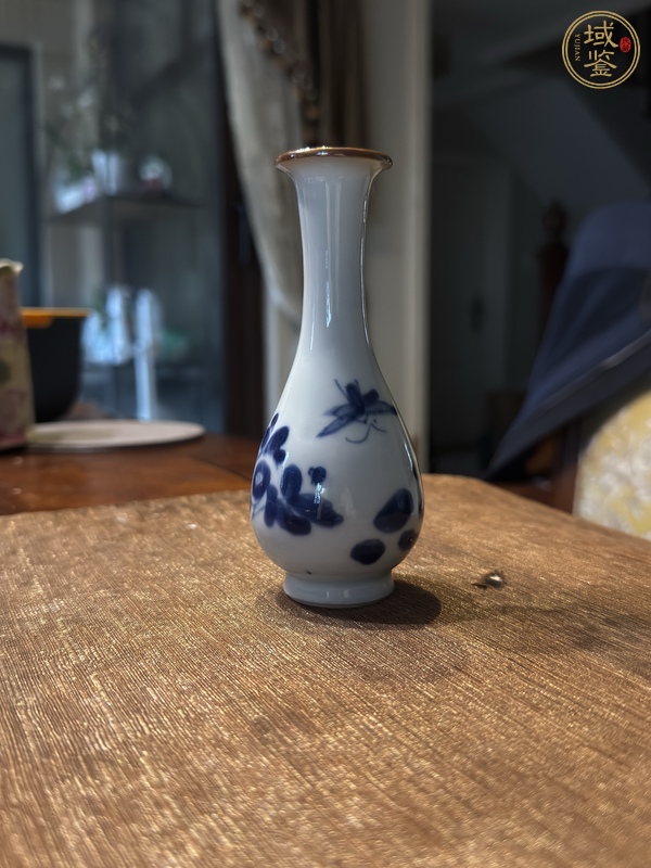 古玩陶瓷清康熙 青花花卉紋瓶真品鑒賞圖