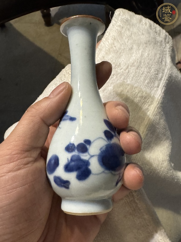 古玩陶瓷清康熙 青花花卉紋瓶真品鑒賞圖