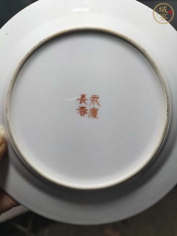 古玩陶瓷花鳥紋粉彩盤真品鑒賞圖