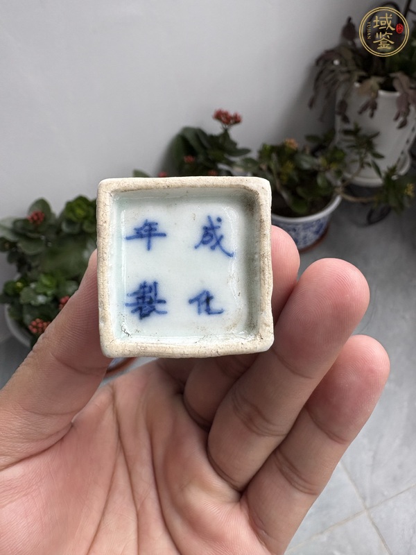 古玩陶瓷青花纏枝喜字紋鳥食罐真品鑒賞圖