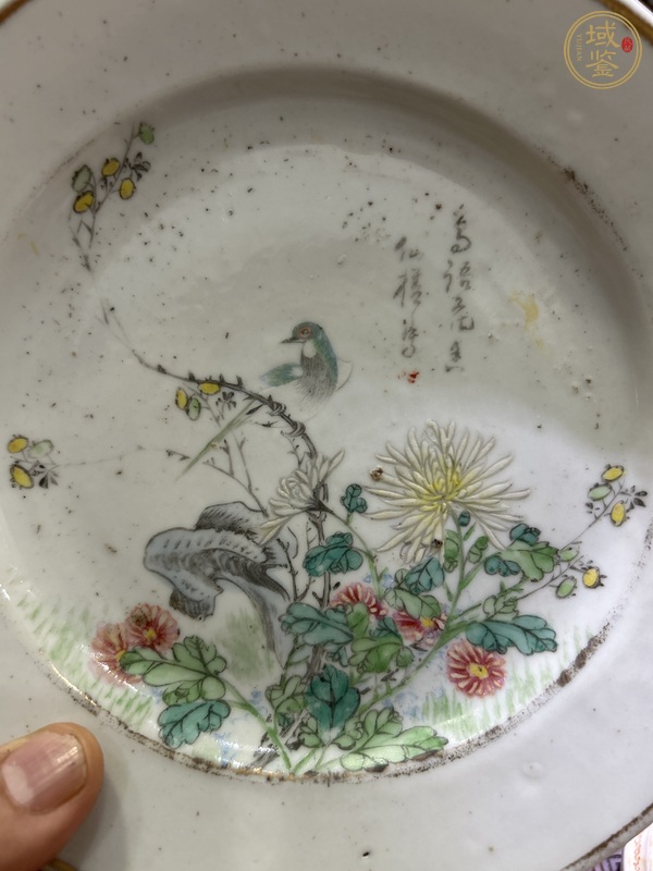 古玩陶瓷粉彩花鳥紋折沿盤真品鑒賞圖