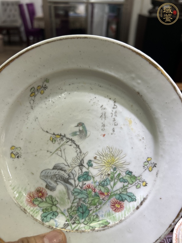 古玩陶瓷粉彩花鳥紋折沿盤真品鑒賞圖