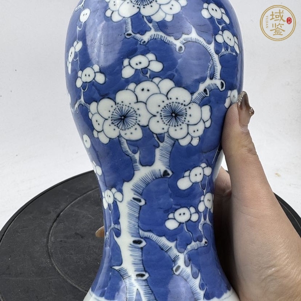 古玩陶瓷青花冰梅圖梅瓶，注意品相真品鑒賞圖