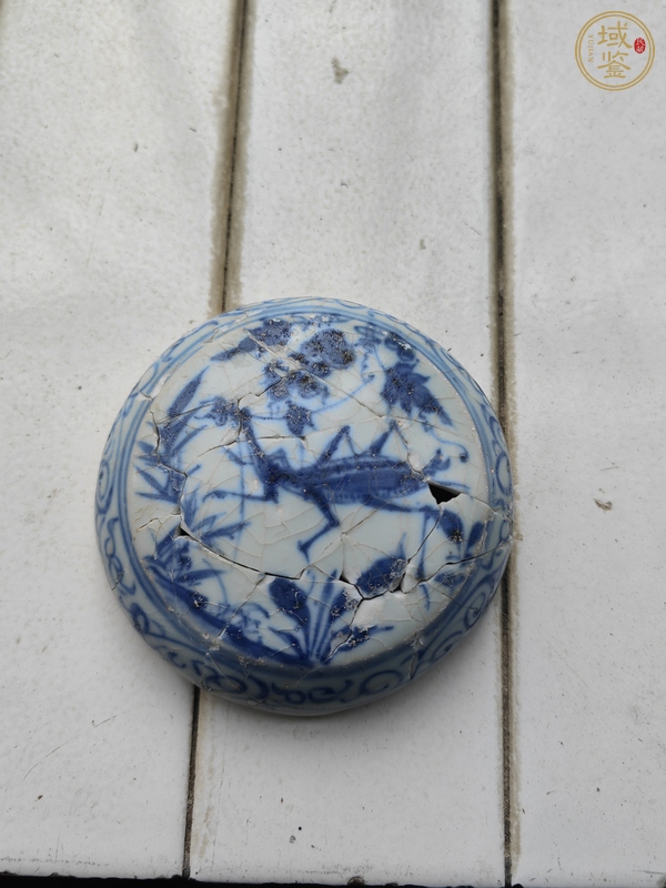 古玩陶瓷青花蟲(chóng)草紋蓋真品鑒賞圖