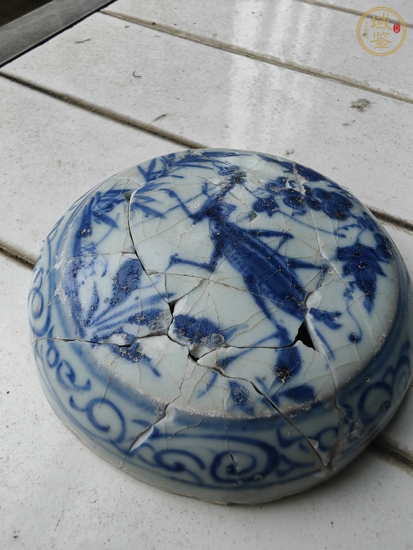 古玩陶瓷青花蟲(chóng)草紋蓋真品鑒賞圖