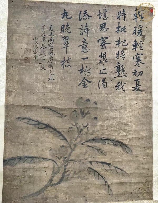 古玩字畫(huà)枇杷將熟我堪思真品鑒賞圖