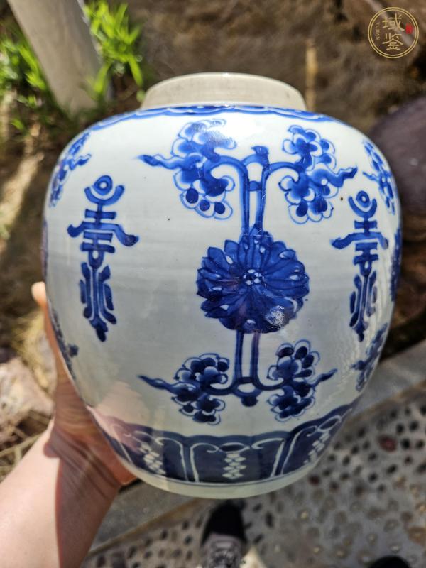 古玩陶瓷花間壽字紋青花罐真品鑒賞圖