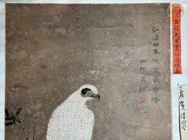 古玩字畫鷹雄圖真品鑒賞圖