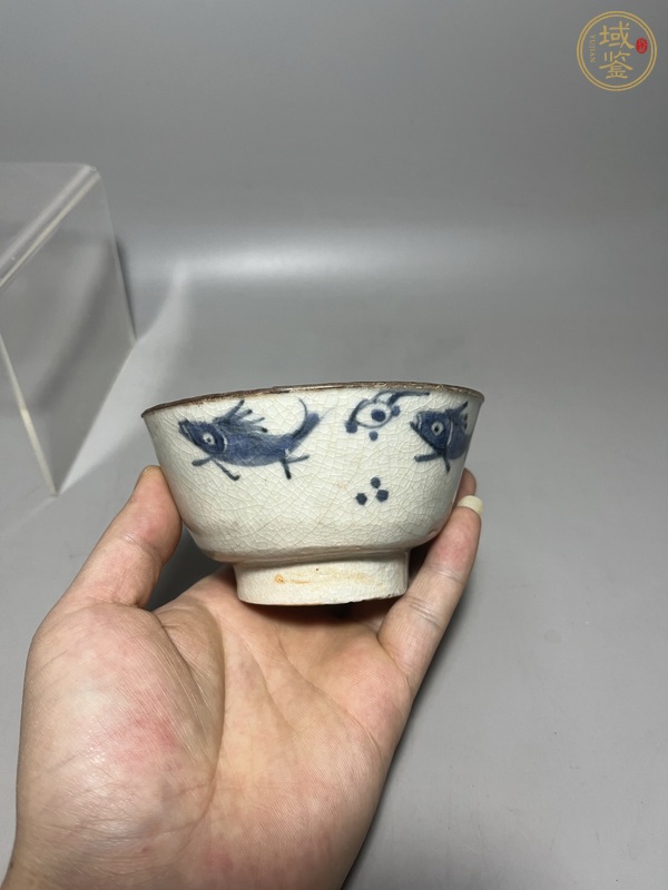 古玩陶瓷青花魚藻紋茶碗真品鑒賞圖