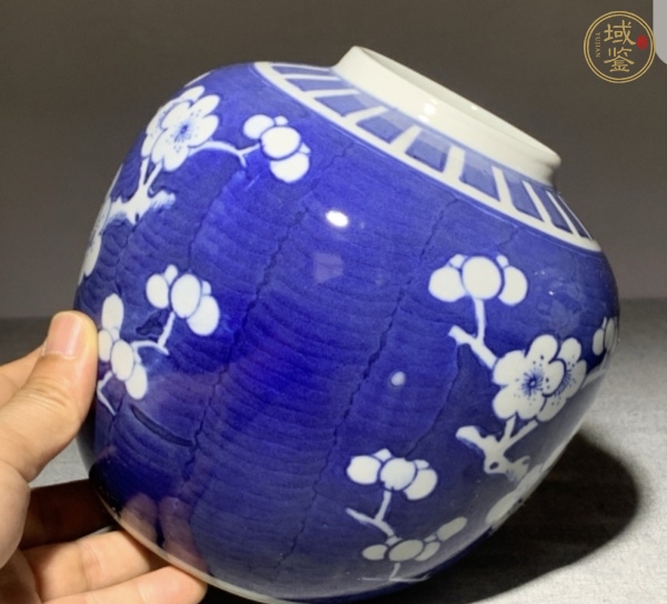 古玩陶瓷青花留白冰梅紋罐真品鑒賞圖