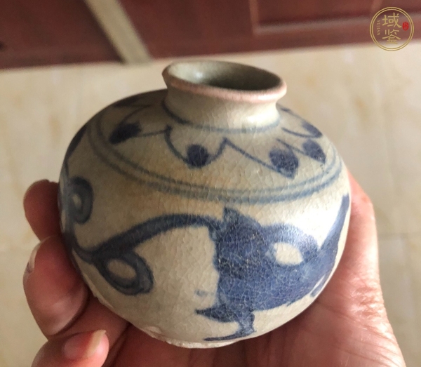 古玩陶瓷青花獅紋水盂真品鑒賞圖