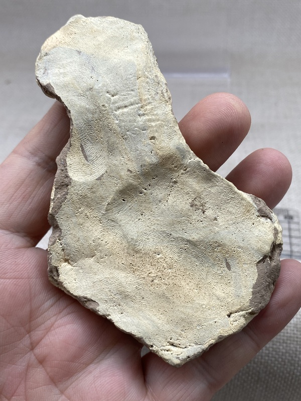 古玩陶瓷宋陶擦擦馬拍賣，當前價格899元