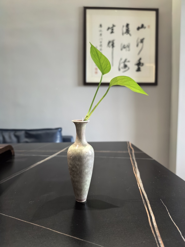 古玩陶瓷晚清 豇豆紅釉柳葉瓶拍賣,當前價格20888元