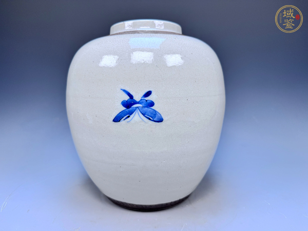 古玩陶瓷清晚期·哥釉青花富貴白頭紋罐真品鑒賞圖