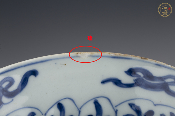 古玩陶瓷清康熙·青花纏枝花卉紋盤真品鑒賞圖