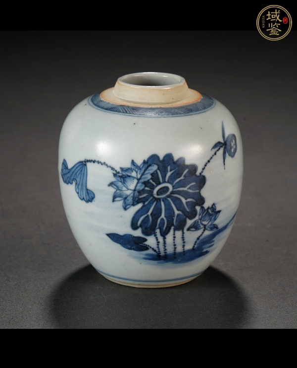 古玩陶瓷青花荷花圖罐真品鑒賞圖