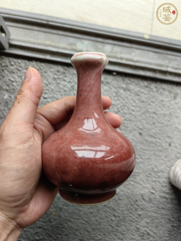 古玩晚清豇豆紅釉賞瓶真品鑒賞圖