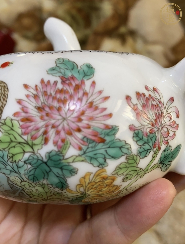 古玩陶瓷粉彩壺真品鑒賞圖