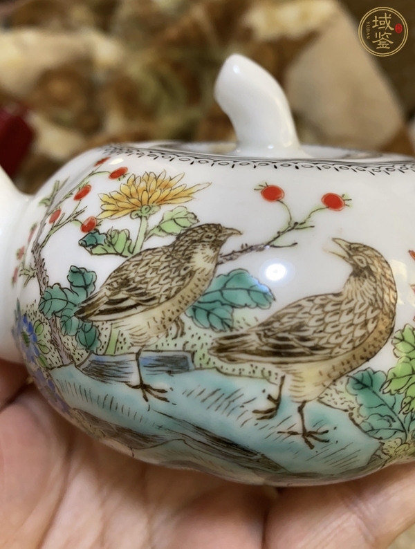 古玩陶瓷粉彩壺真品鑒賞圖