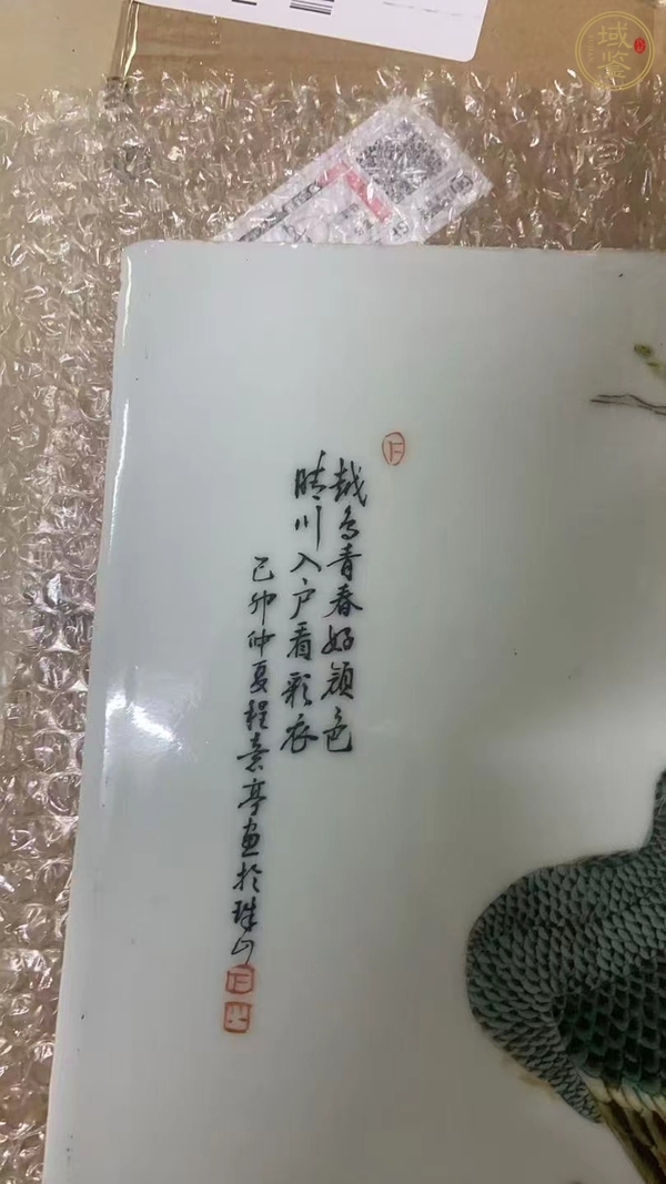 古玩陶瓷粉彩孔雀牡丹紋瓷板真品鑒賞圖