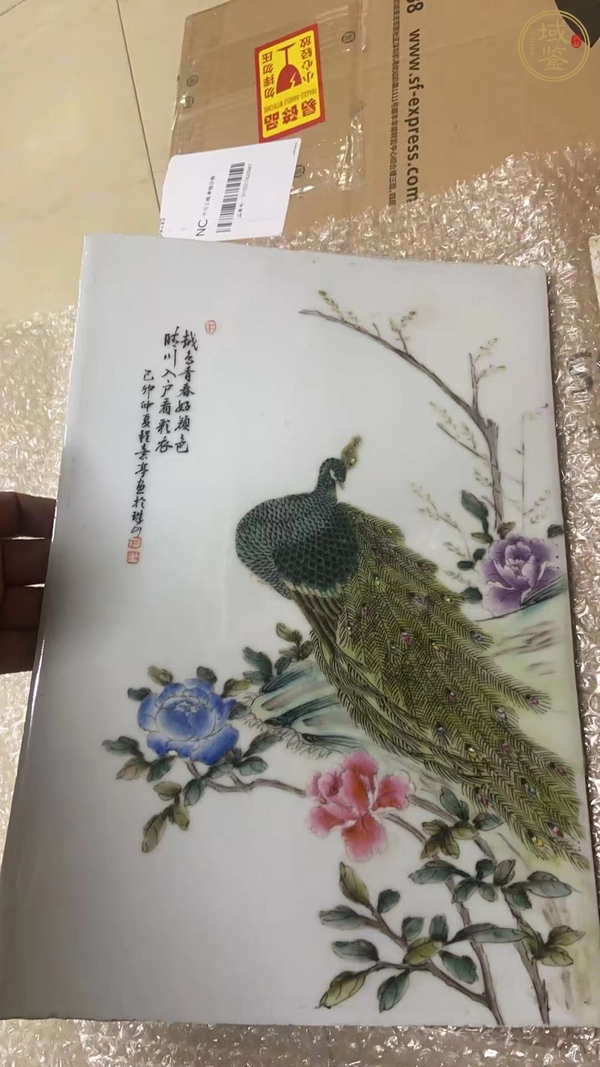 古玩陶瓷粉彩孔雀牡丹紋瓷板真品鑒賞圖