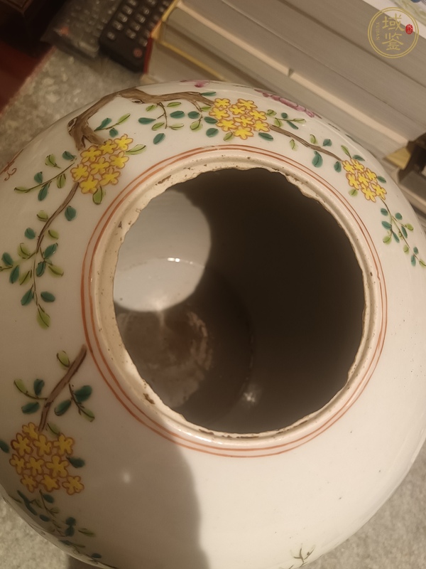 古玩陶瓷粉彩冬瓜罐真品鑒賞圖