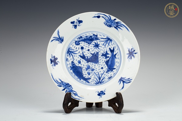 古玩清康熙·青花魚藻紋折沿小盤真品鑒賞圖