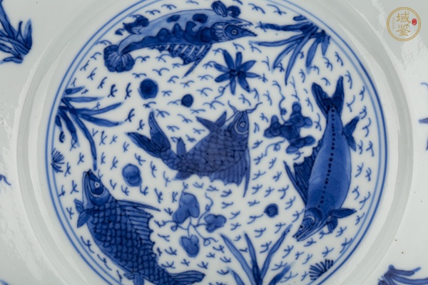 古玩陶瓷清康熙·青花魚藻紋折沿小盤真品鑒賞圖