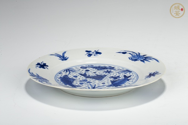 古玩陶瓷清康熙·青花魚藻紋折沿小盤真品鑒賞圖