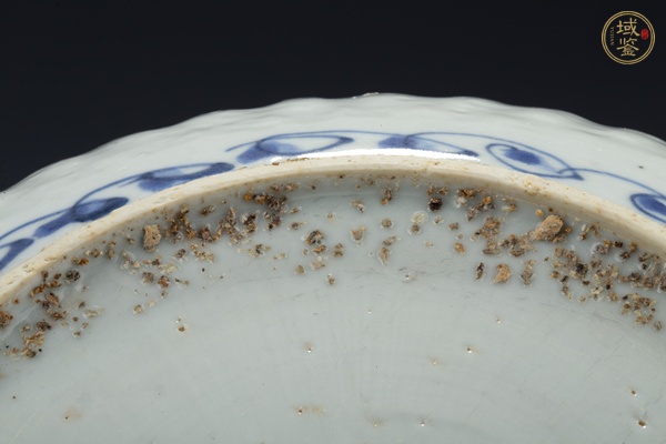 古玩陶瓷明晚·青花花鳥紋花口盤真品鑒賞圖