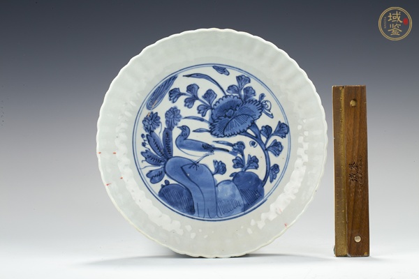 古玩陶瓷明萬歷·青花花鳥紋花口盤真品鑒賞圖