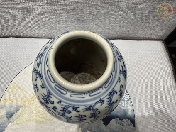 古玩陶瓷纏枝花卉紋青花罐真品鑒賞圖