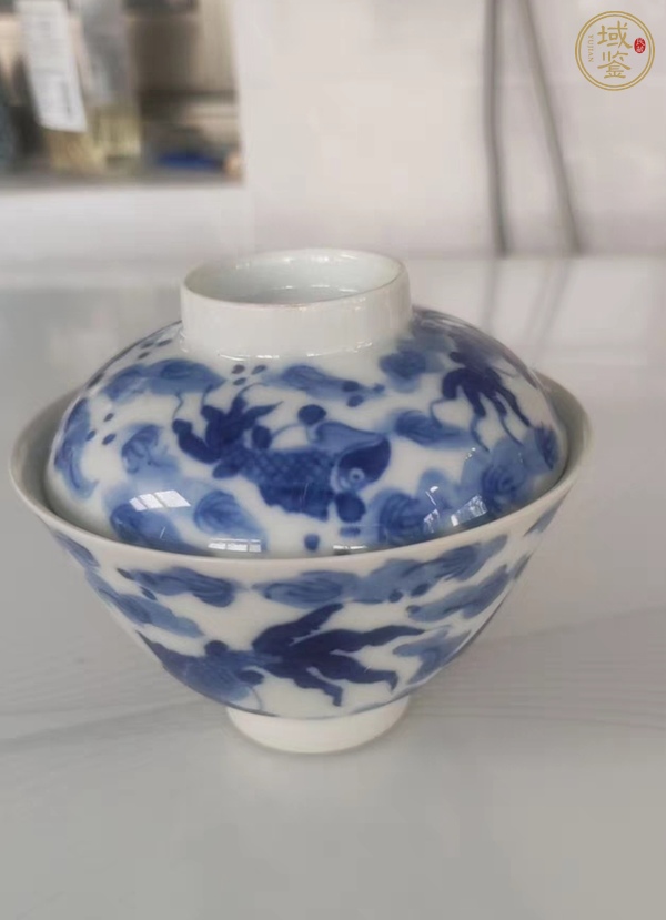 古玩陶瓷魚藻紋青花蓋碗真品鑒賞圖