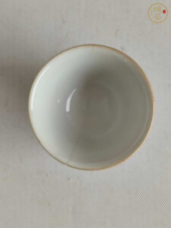 古玩陶瓷魚藻紋礬紅杯真品鑒賞圖