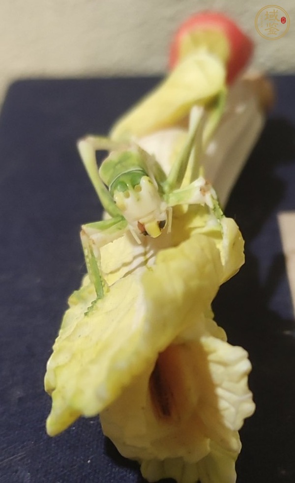 古玩雜項(xiàng)白菜雕件真品鑒賞圖