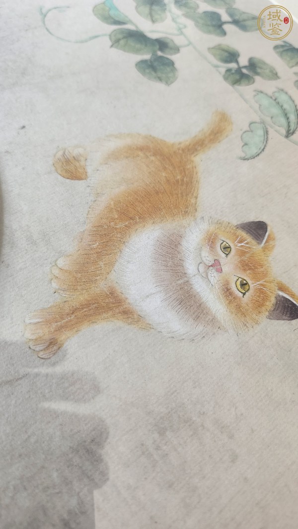 古玩貓蝶圖真品鑒賞圖