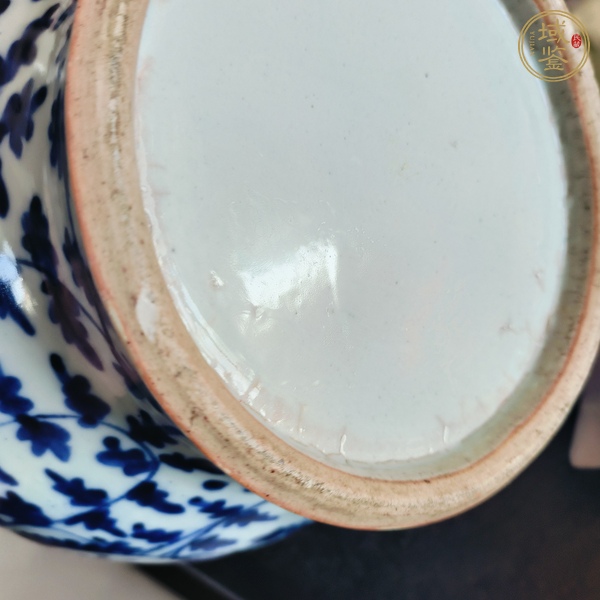 古玩陶瓷馬蹄尊真品鑒賞圖