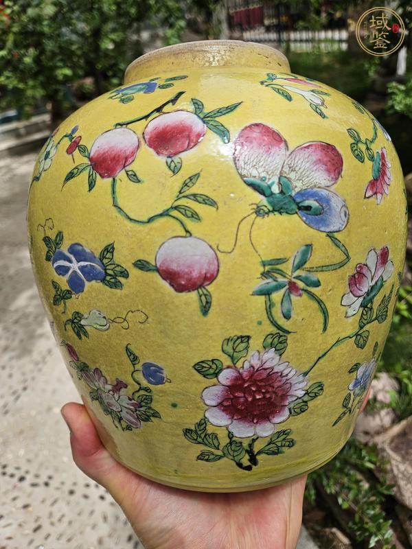 古玩陶瓷黃地粉彩花卉蝴蝶紋罐真品鑒賞圖