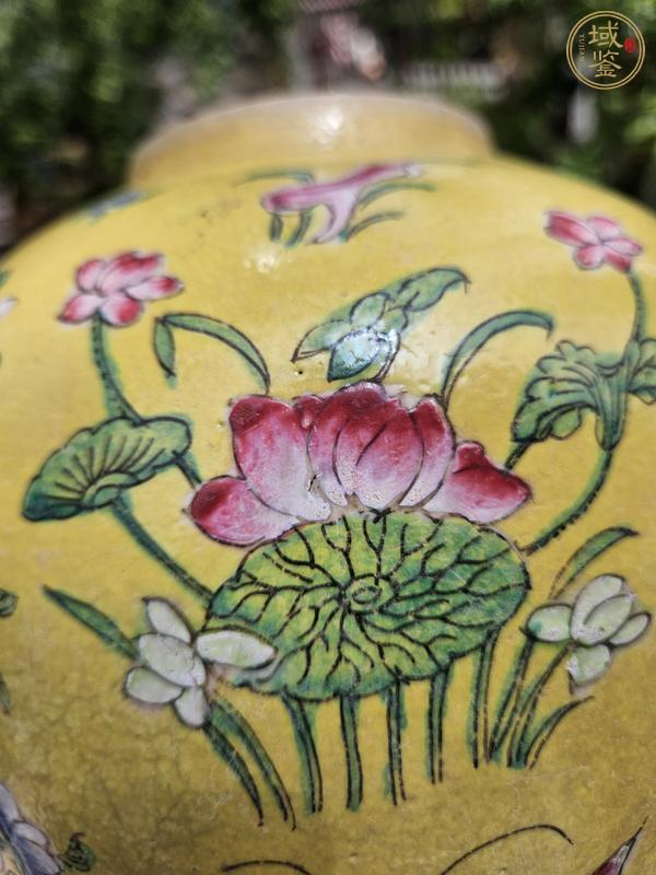 古玩陶瓷黃地粉彩花卉蝴蝶紋罐真品鑒賞圖