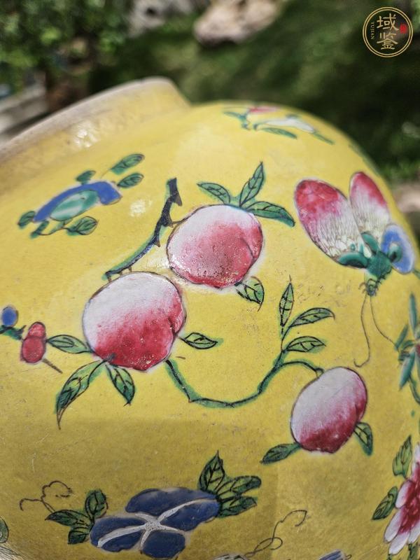 古玩陶瓷黃地粉彩花卉蝴蝶紋罐真品鑒賞圖