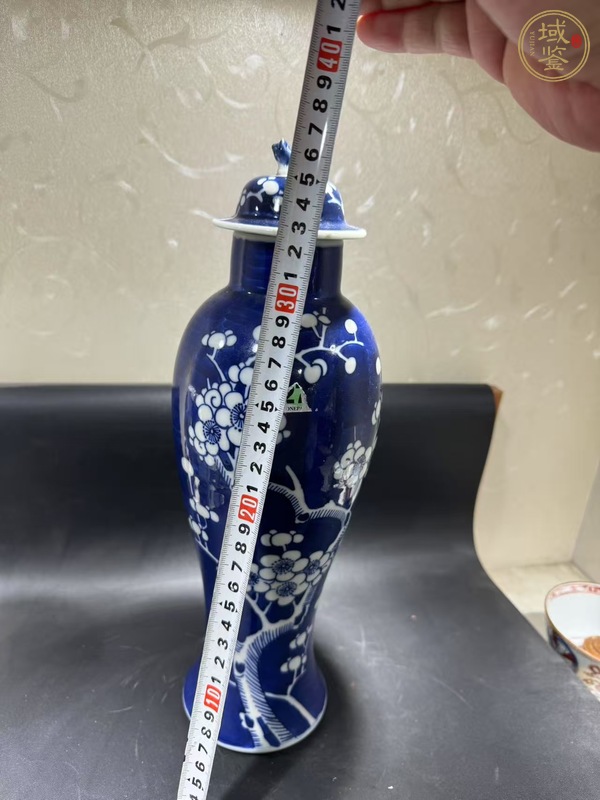 古玩陶瓷青花冰梅圖雞腿瓶真品鑒賞圖