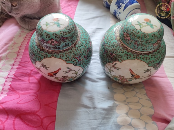 古玩陶瓷粉彩花鳥紋蓋罐真品鑒賞圖