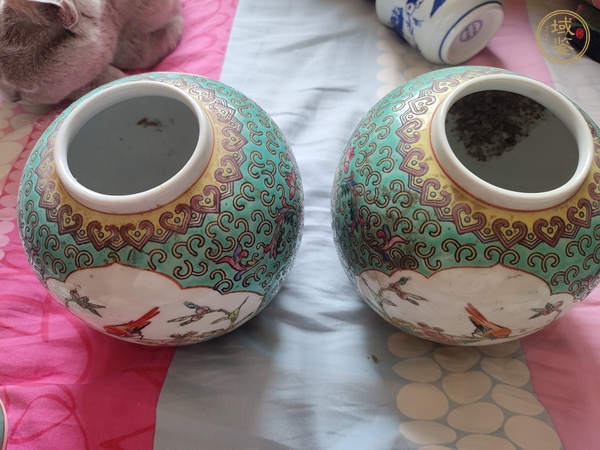 古玩陶瓷粉彩花鳥紋蓋罐真品鑒賞圖