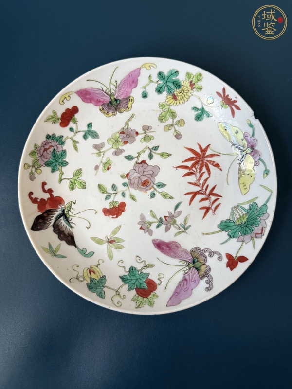 古玩花蝶紋粉彩盤真品鑒賞圖