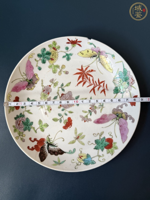 古玩陶瓷花蝶紋粉彩盤真品鑒賞圖