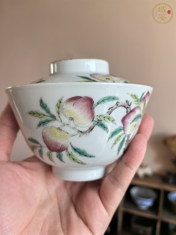 古玩陶瓷粉彩九桃蓋碗真品鑒賞圖