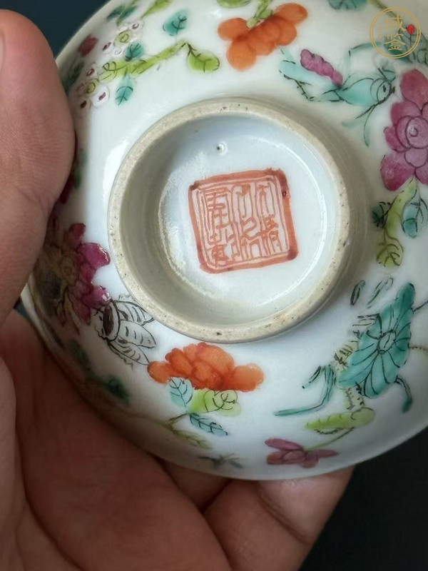 古玩陶瓷一鳴驚人粉彩盤真品鑒賞圖