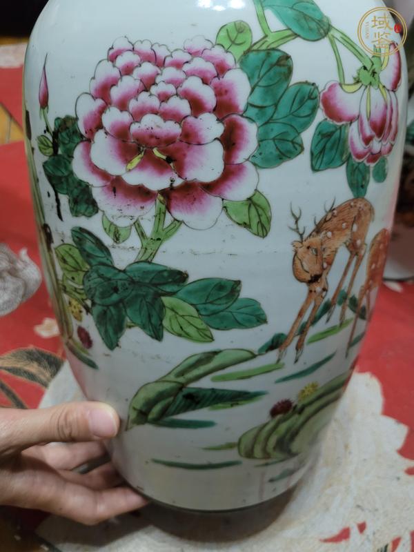 古玩陶瓷鶴鹿同春粉彩瓶真品鑒賞圖