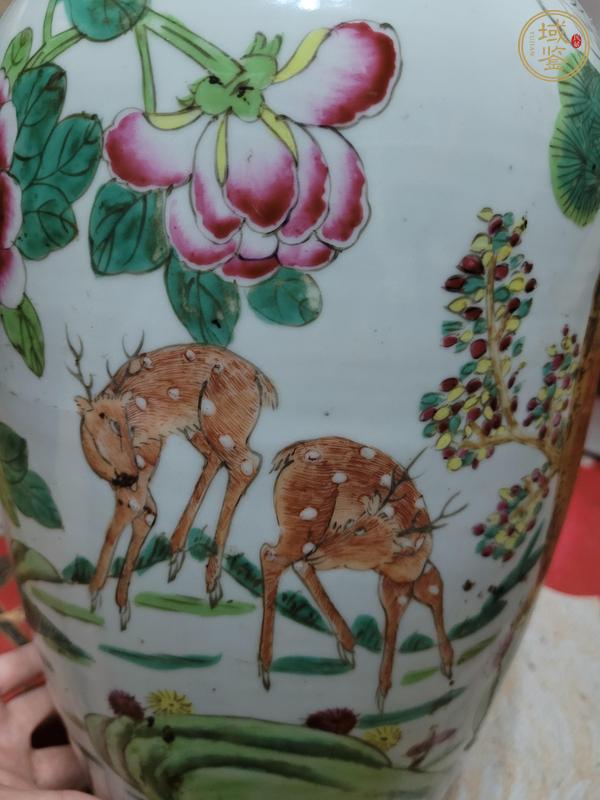 古玩陶瓷鶴鹿同春粉彩瓶真品鑒賞圖