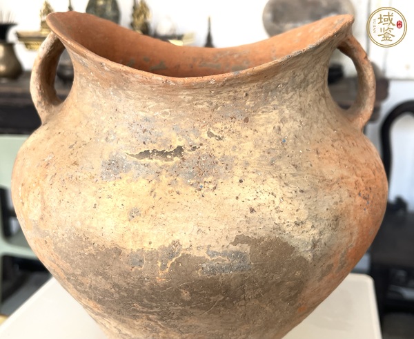 古玩陶瓷寺洼文化魚口罐真品鑒賞圖